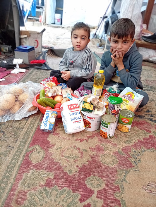 Lebensmittelhilfe für Hatems Familie in Gaza, Januar 2026