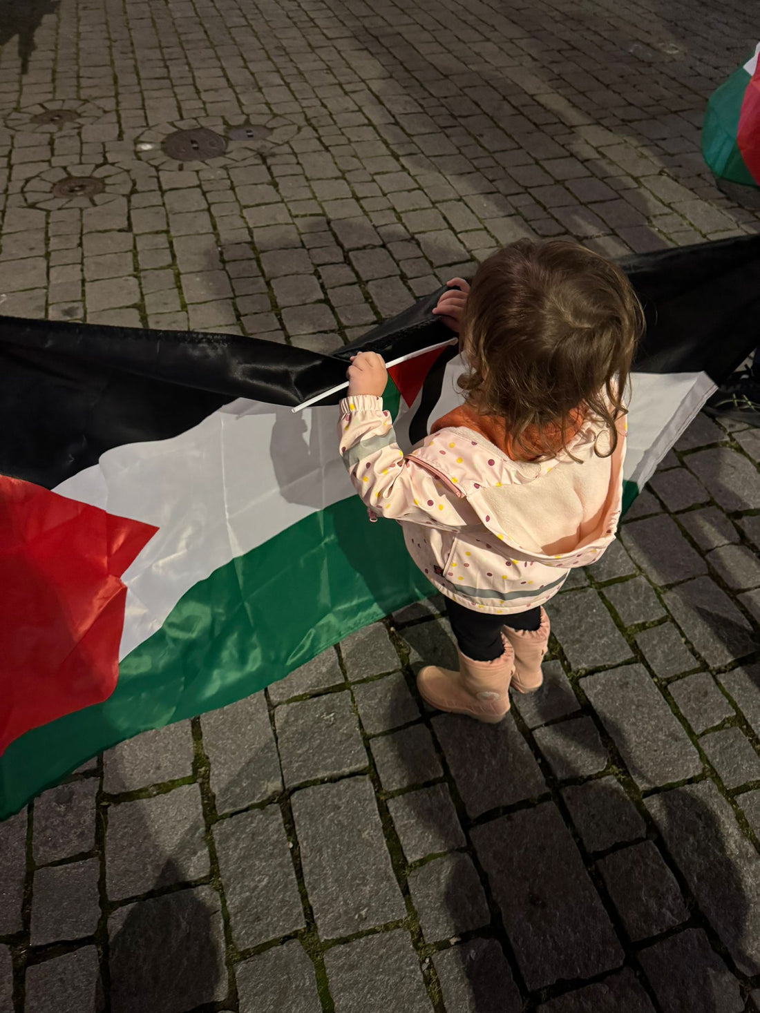 Kind mit Palästinaflagge bei der Kundgebung am 14. November 2025